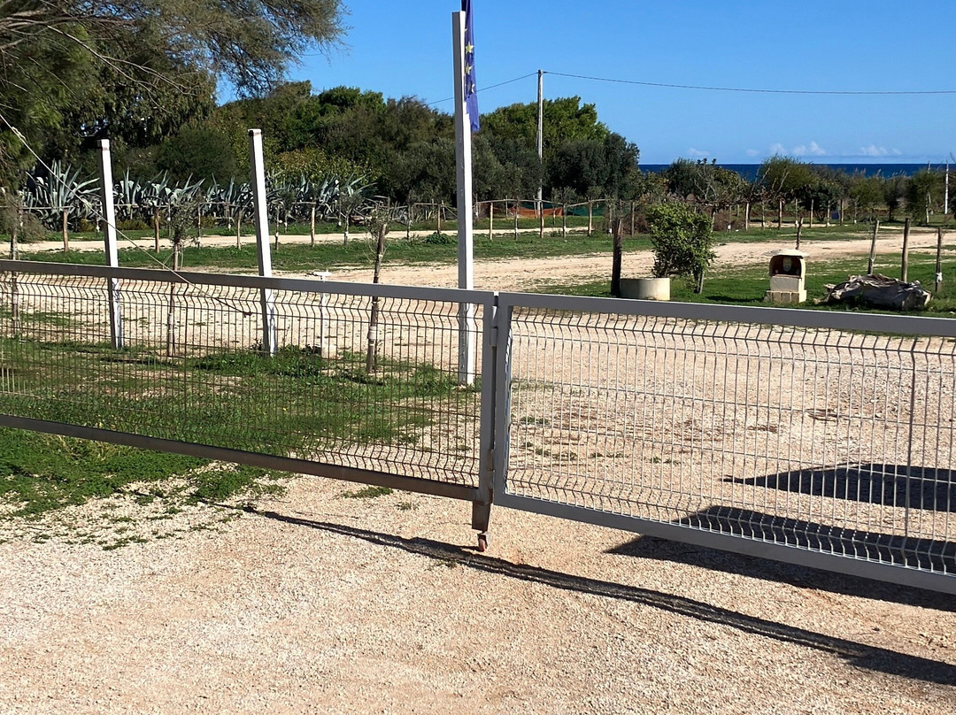 Torre Guaceto Boa Gialla-Carovigno必去景点