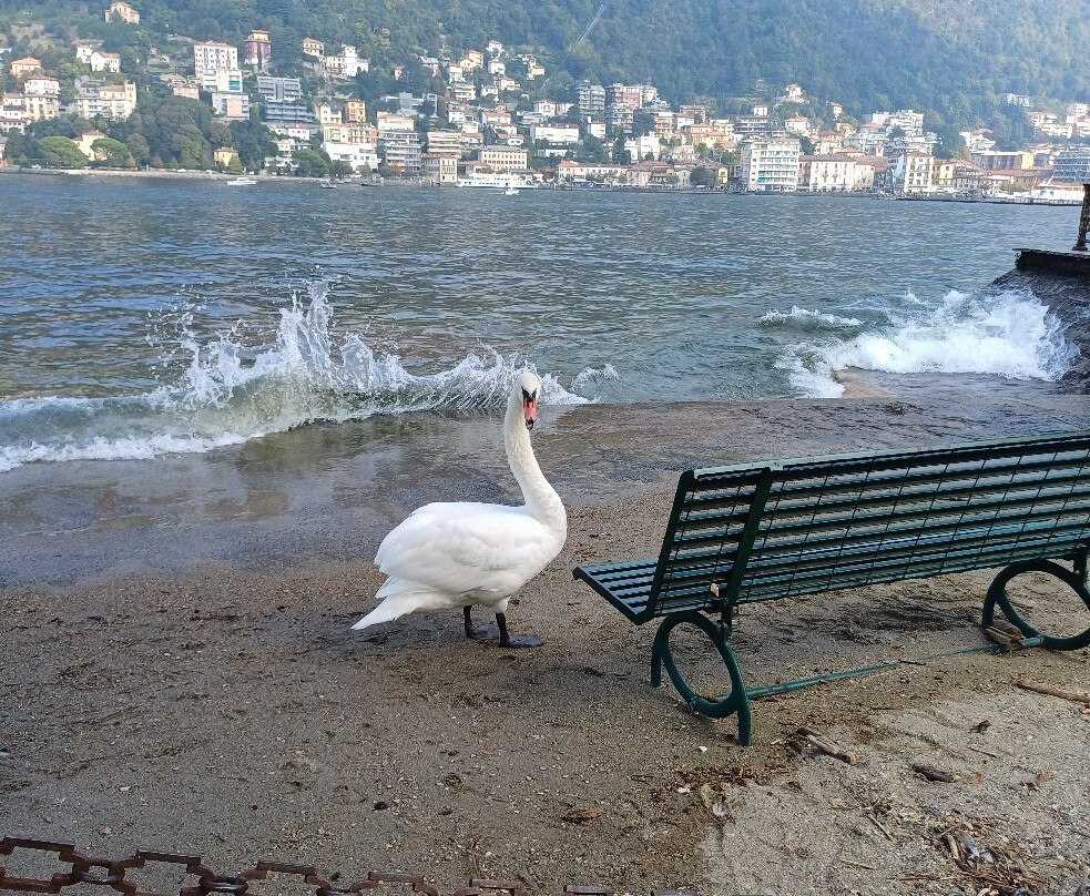 Lungolago da Como centro a Villa Olmo-科莫必去景点