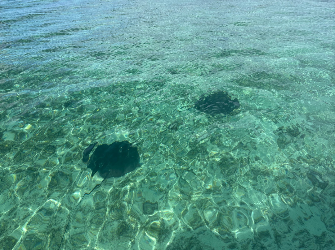 Sea Serenity Excursions-Bain Boeuf必去景点