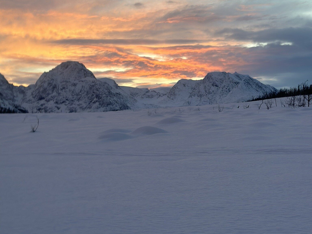 Lyngen Husky Safari-Svensby必去景点