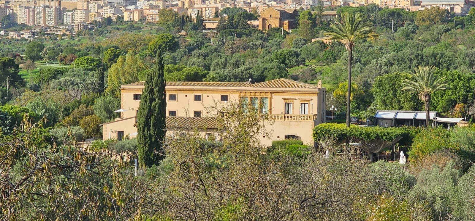 阿西娜别墅酒店-官方