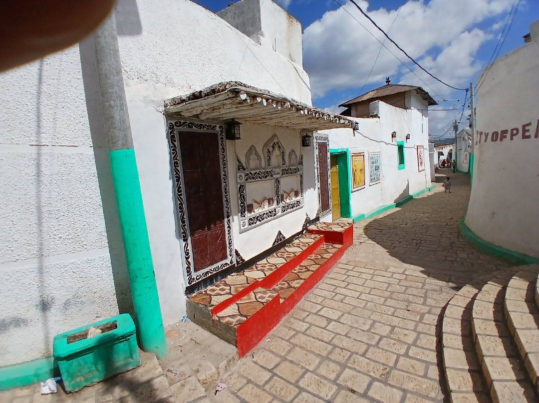 Joel Harar Tours-哈勒尔必去景点