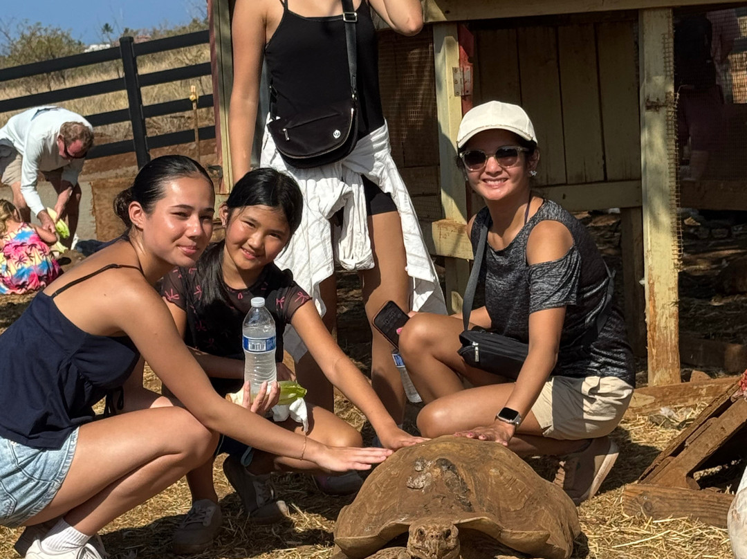 Maui Animal Farm-拉海纳必去景点