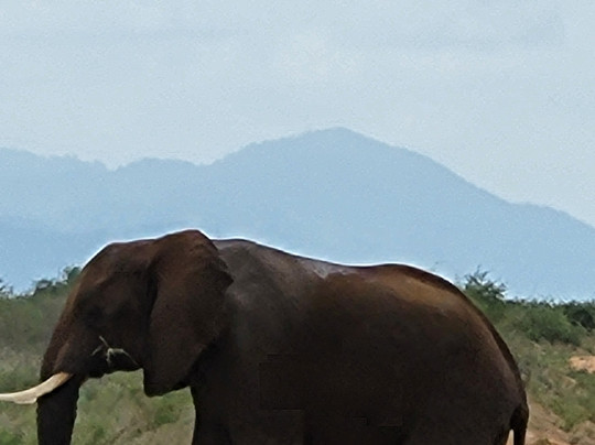 Asif Magical Safaris-瓦塔木必去景点