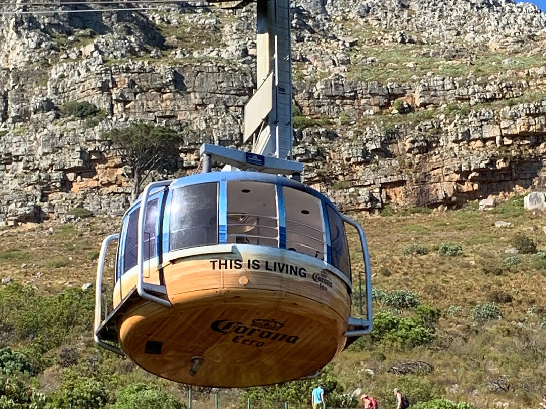 Explore the Cape Tours & Safaris-开普敦中心区必去景点