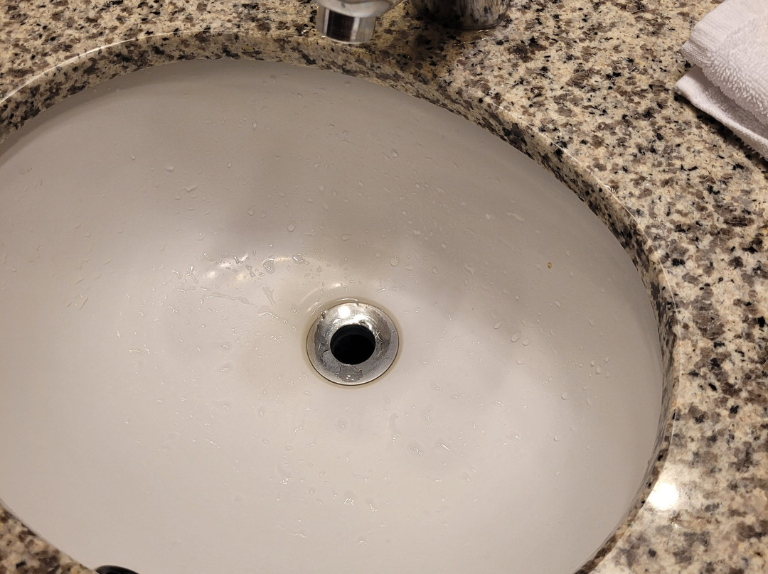 Best Western Plus Carousel Inn & Suites主图