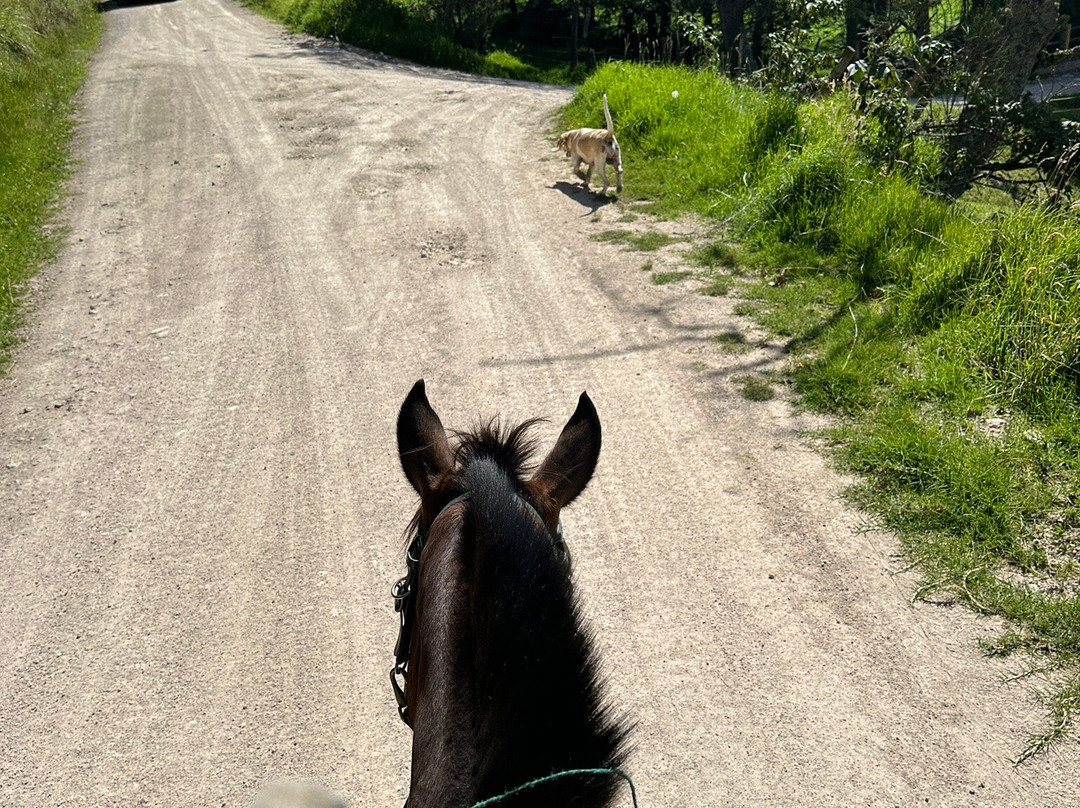 Centro Ecuestre Bellavista-昆卡必去景点