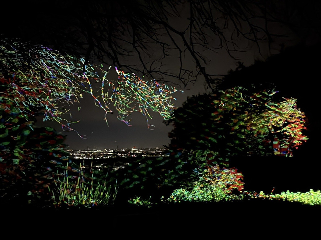 Mogusaen-日野市必去景点