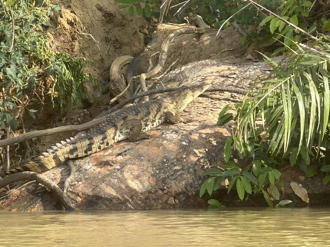Simon Tours-Kotu必去景点
