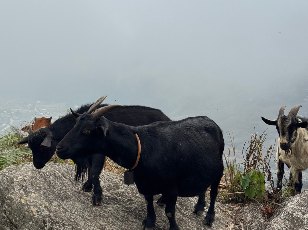 LaLa SaPa Trekking Tour-沙巴必去景点