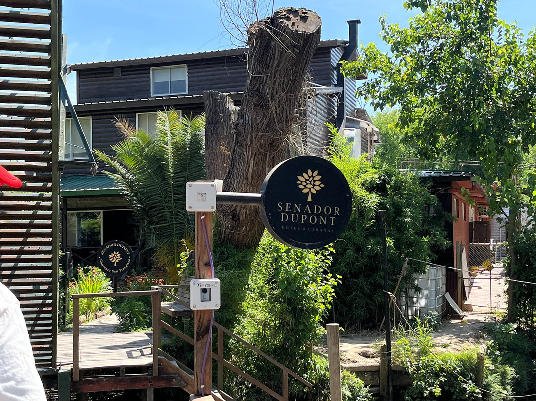 Senador Dupont主图