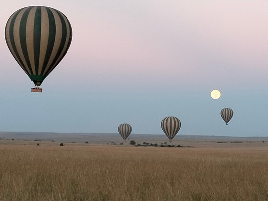 Wildlife Trips Safaris-纳罗克必去景点