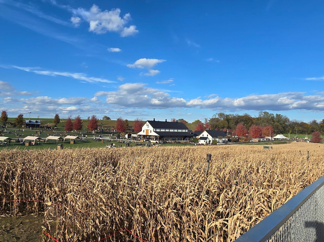 Cherry Crest Adventure Farm-Ronks必去景点