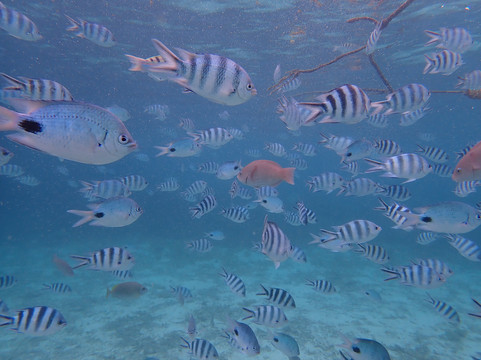 水上乐园-贝尔马尔必去景点