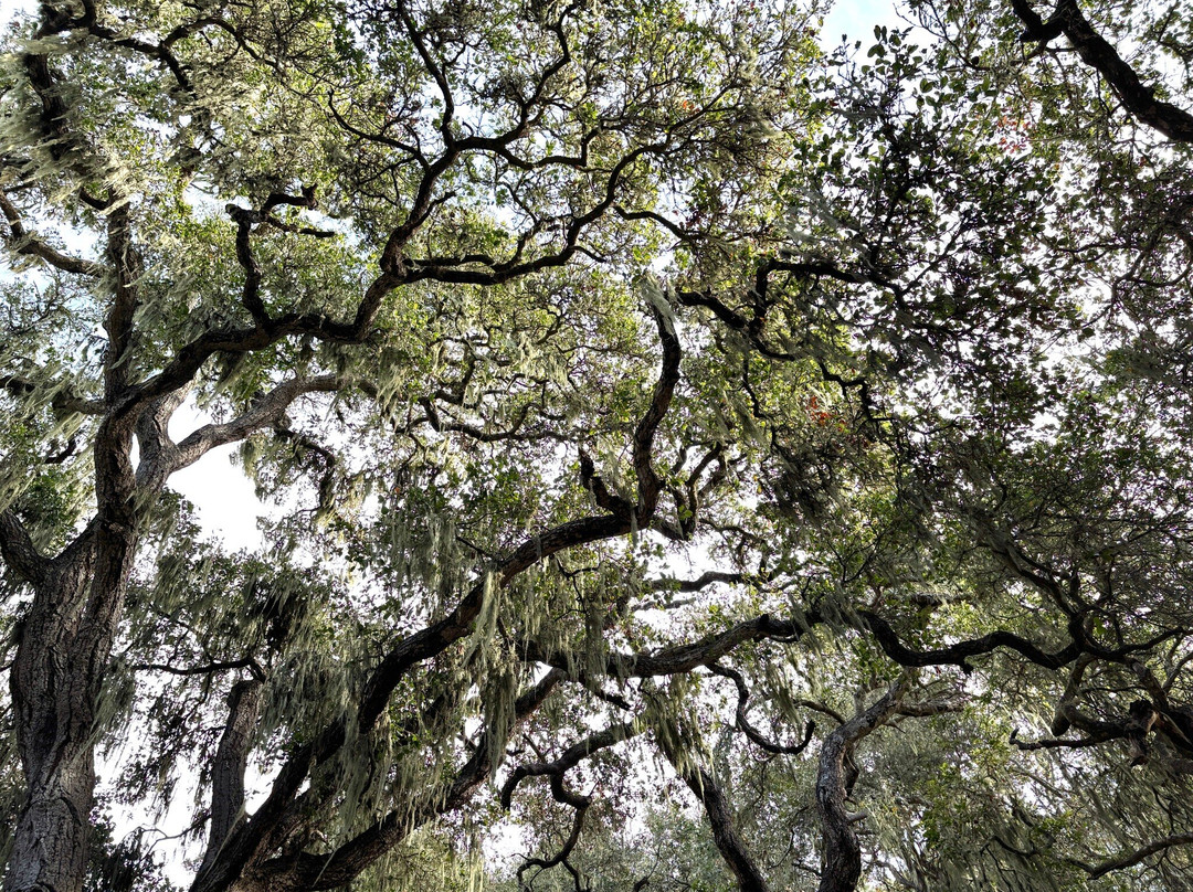 Pismo Preserve-庇斯摩海滩必去景点