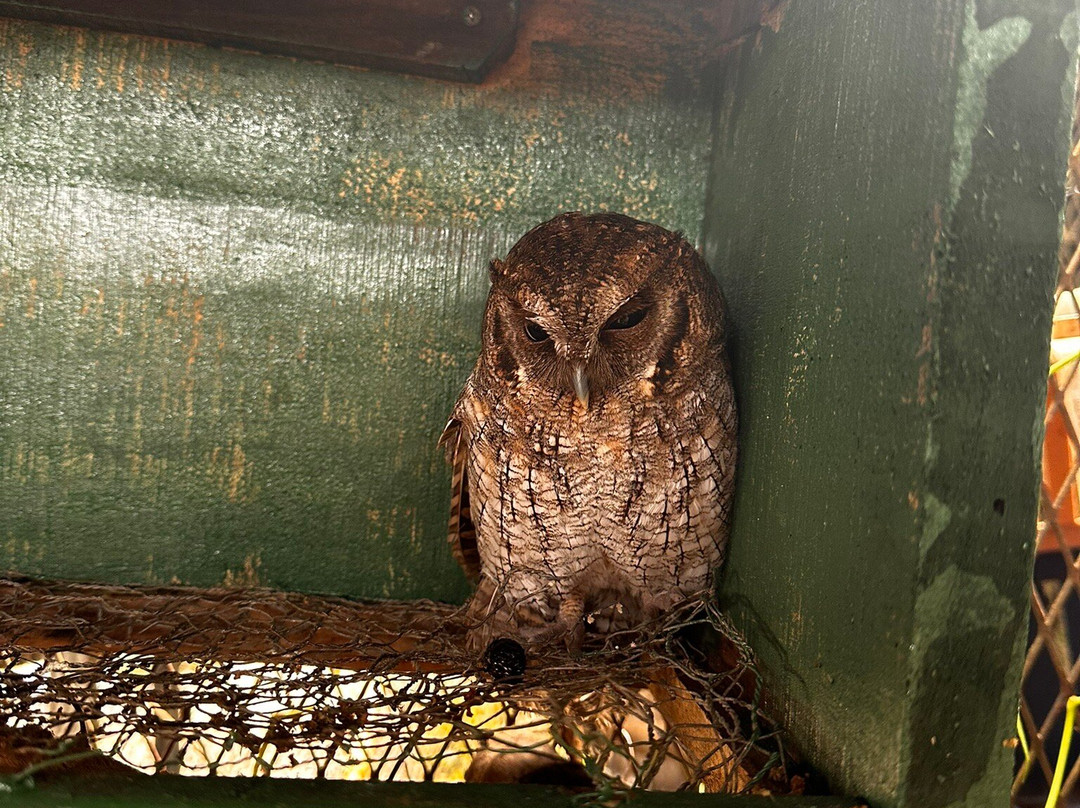Jungla de Panama Wildlife Refuge-波魁特必去景点
