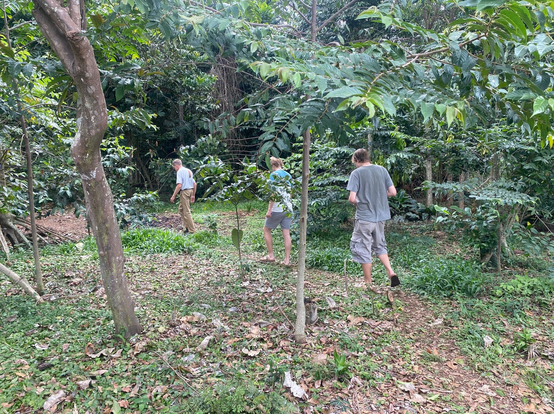 Kizira Nature Trails-Kalangala必去景点