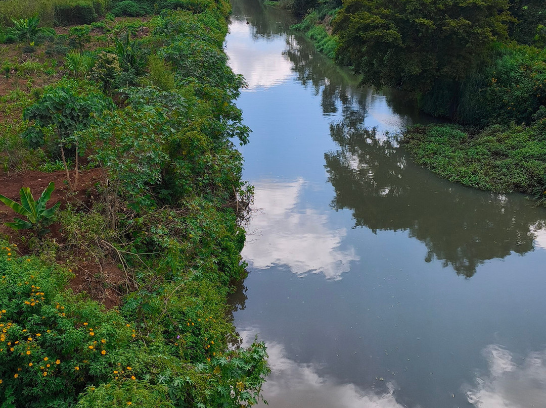 Blue Post Hotel主图