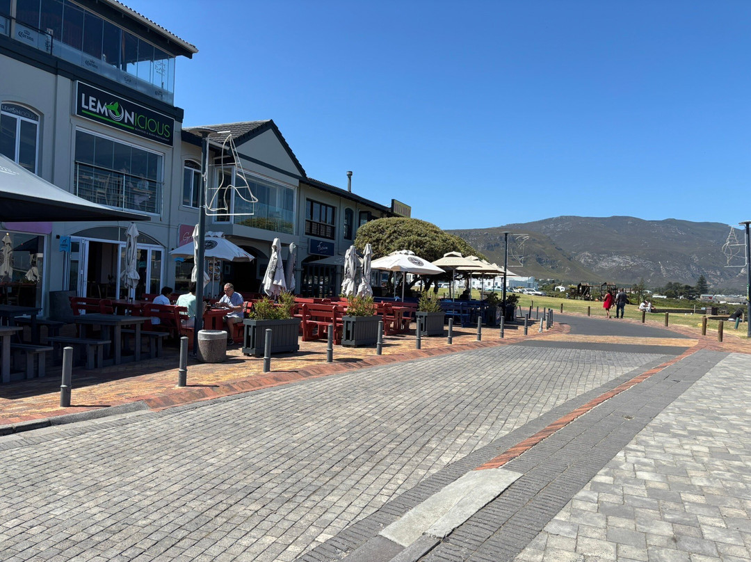 Hermanus Cliff Path-赫曼努斯必去景点