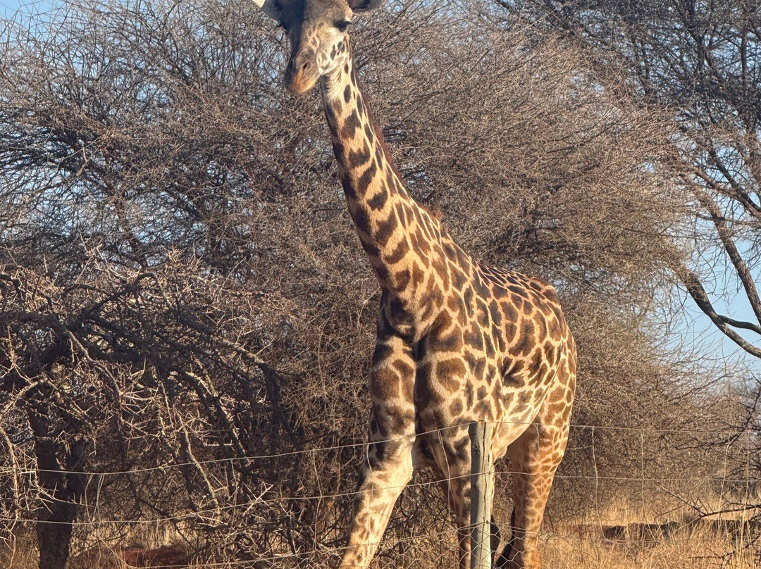 Oldonyo Orok Lodge主图