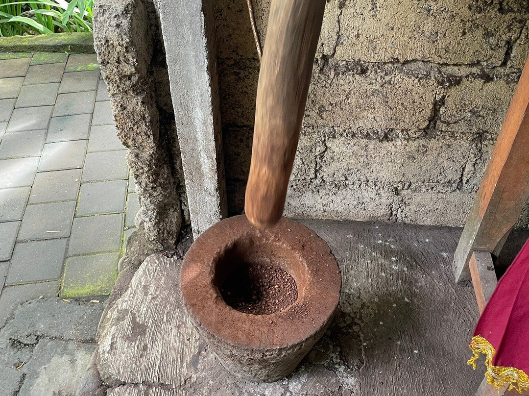 Celuk Swing & Luwak Coffee-Celuk必去景点