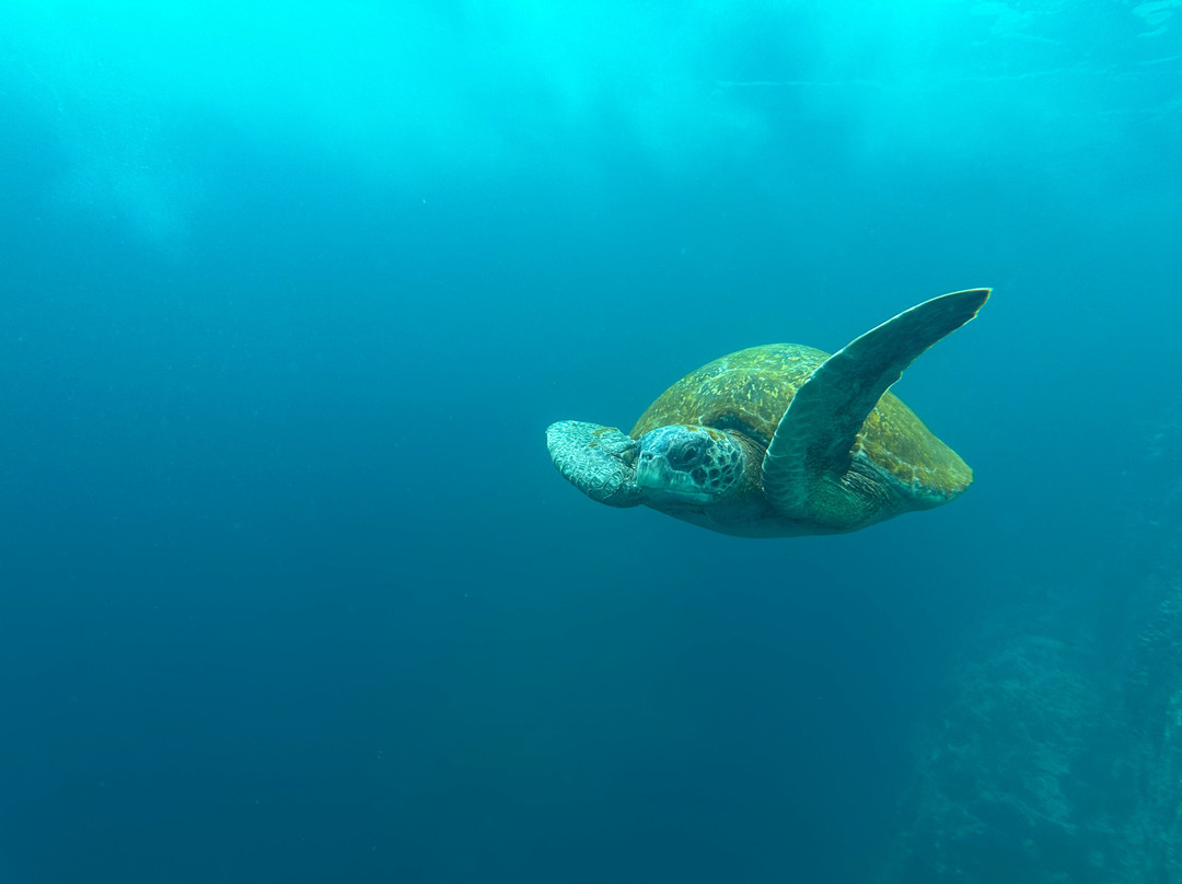 Eco-Challenger Galapagos Tour Agency-圣克里斯托瓦尔必去景点