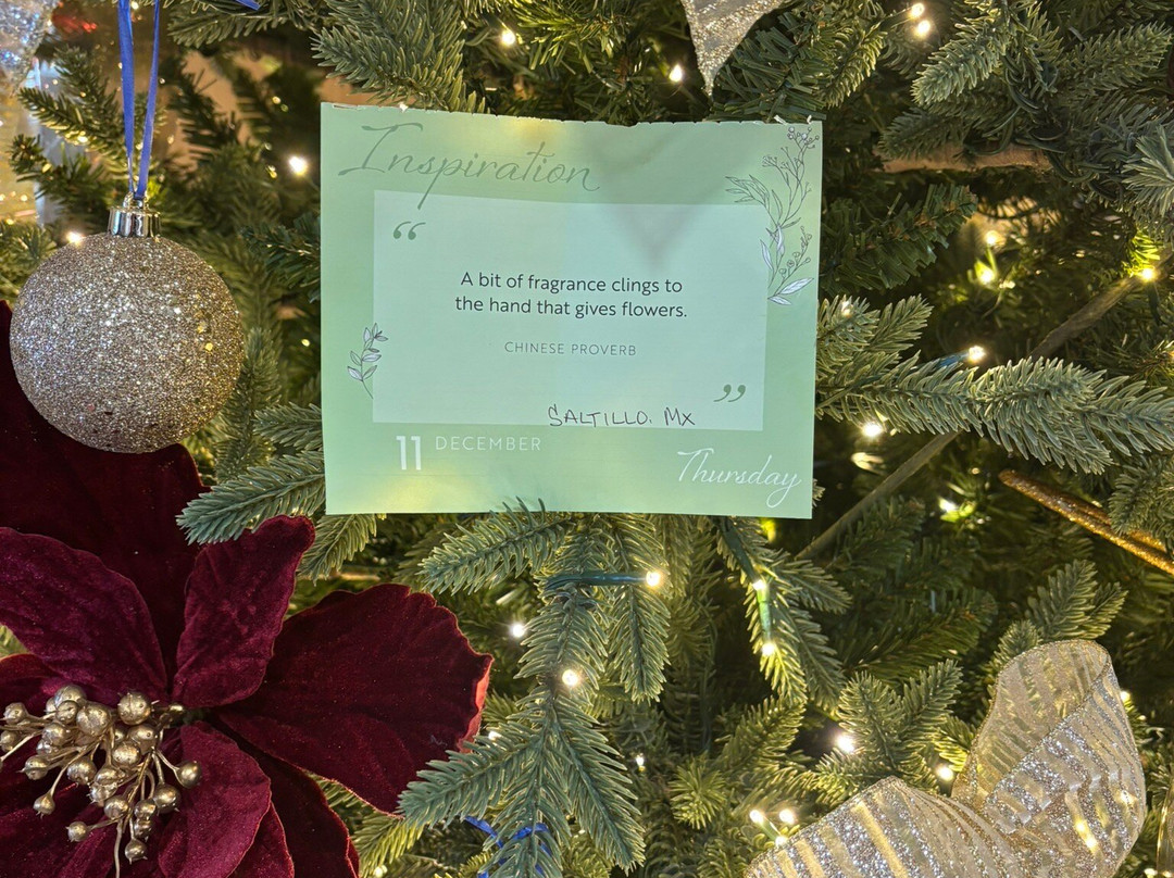 Hampton by Hilton Saltillo主图