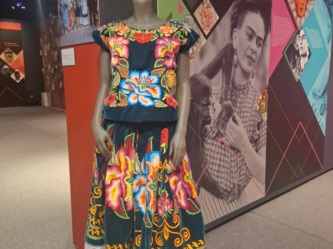 Museo Frida Kahlo-普拉亚德尔卡曼必去景点