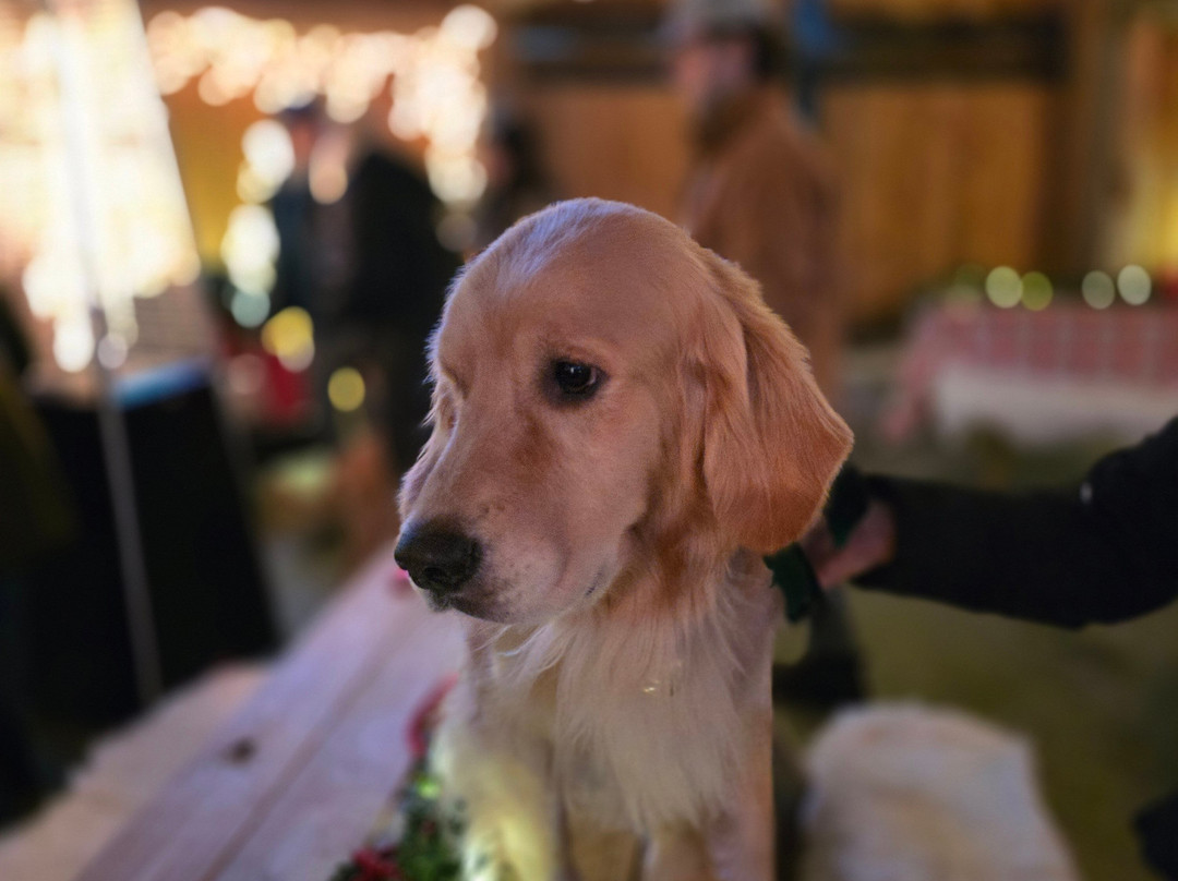 Golden Dog Farm-Jeffersonville必去景点