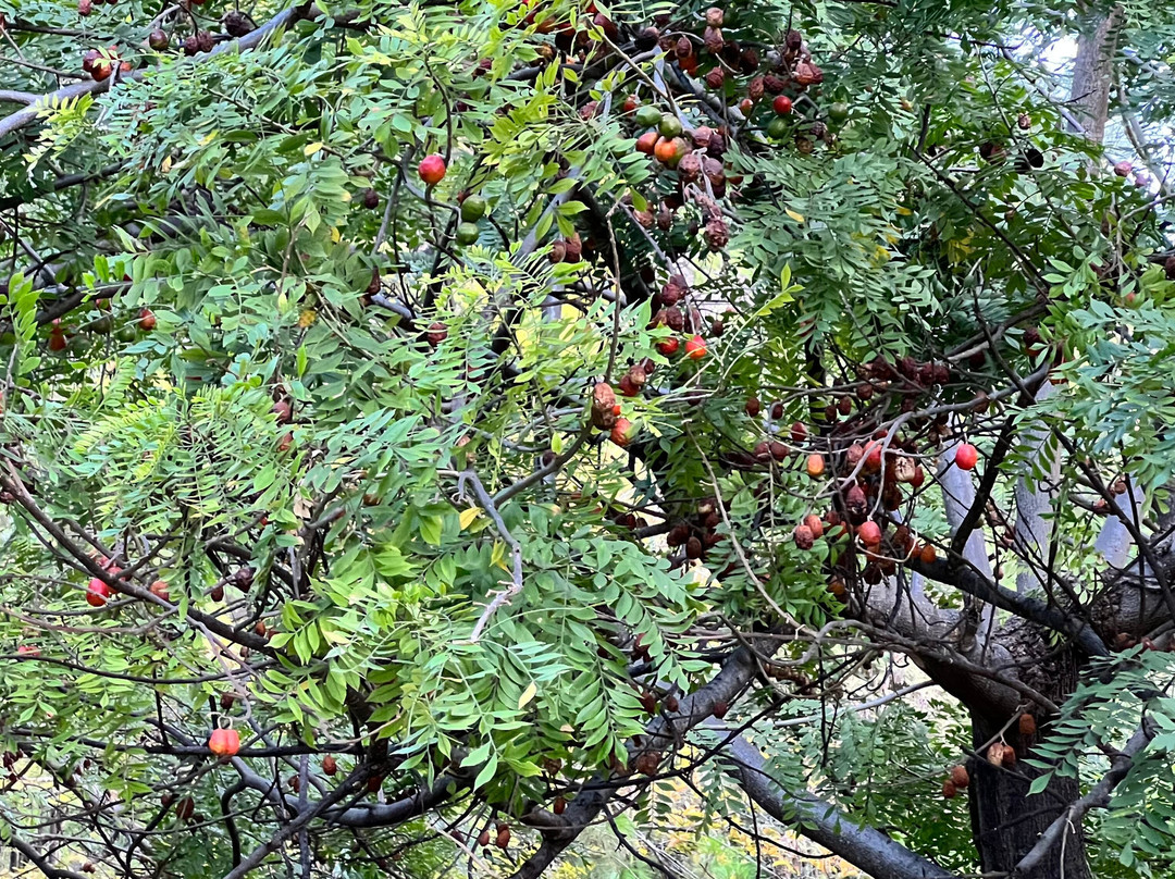 Hotel Agua Blanca主图