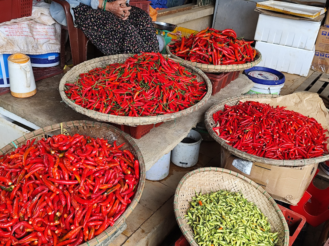 Vietnam Original Travel-胡志明市必去景点