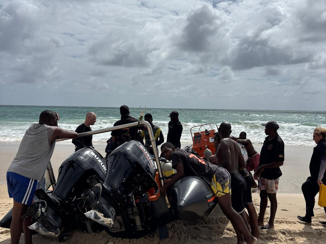 SAFARI, DRIVE & DIVE TOURS-Inhambane必去景点