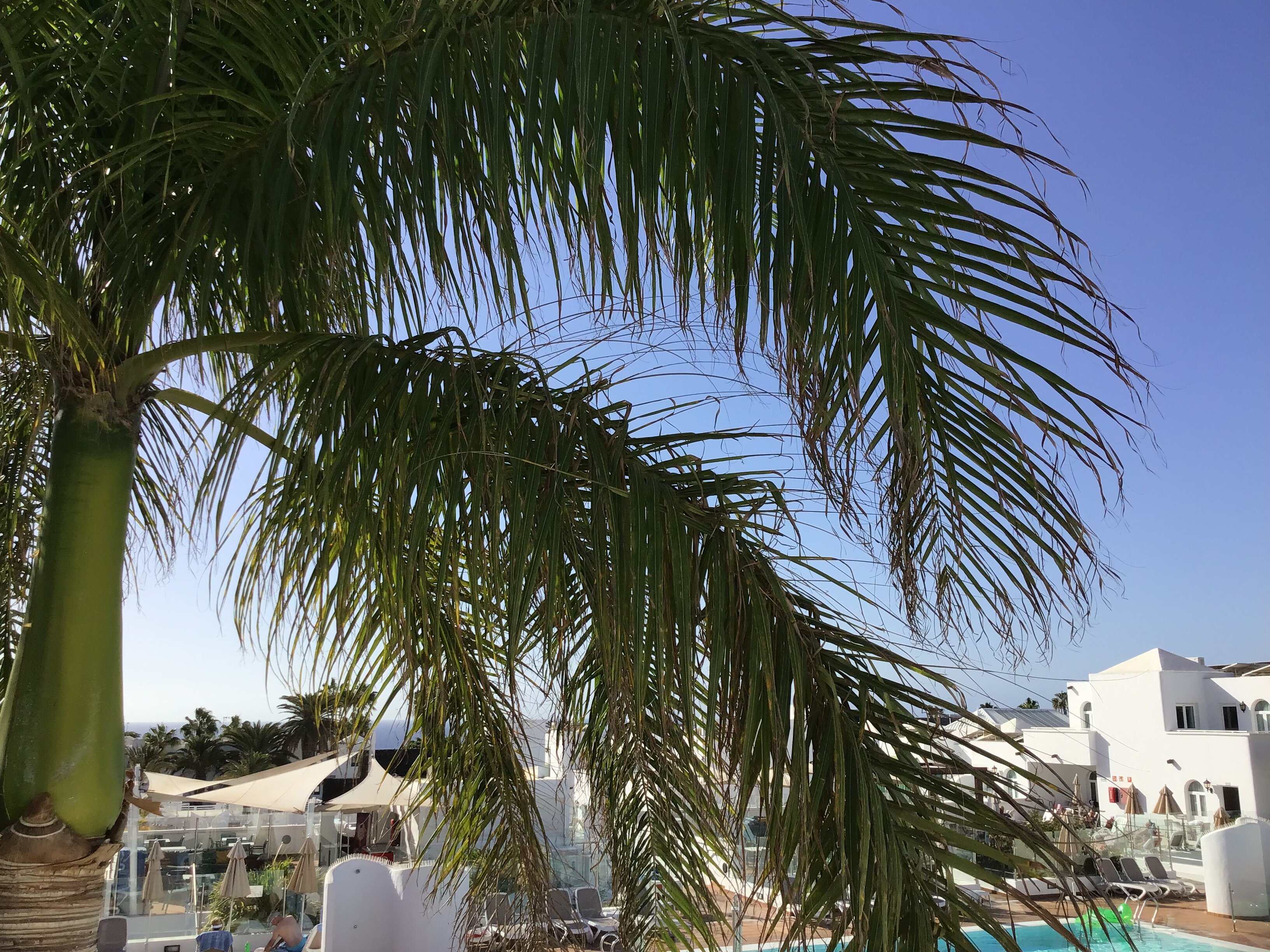 Gloria Izaro Club Hotel-浴室