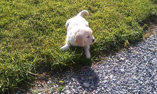 Little Widefield Farm-客卧