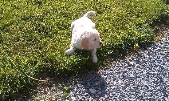 Little Widefield Farm主图