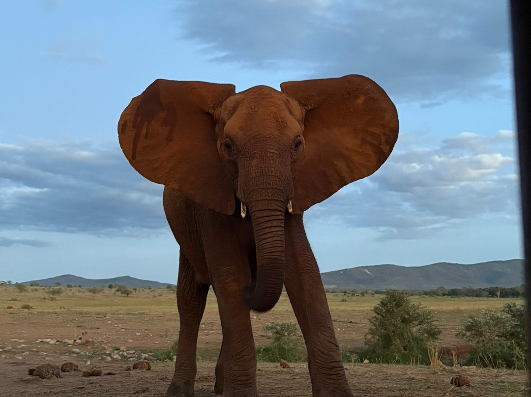 Ombre Tours & Safaris-瓦塔木必去景点