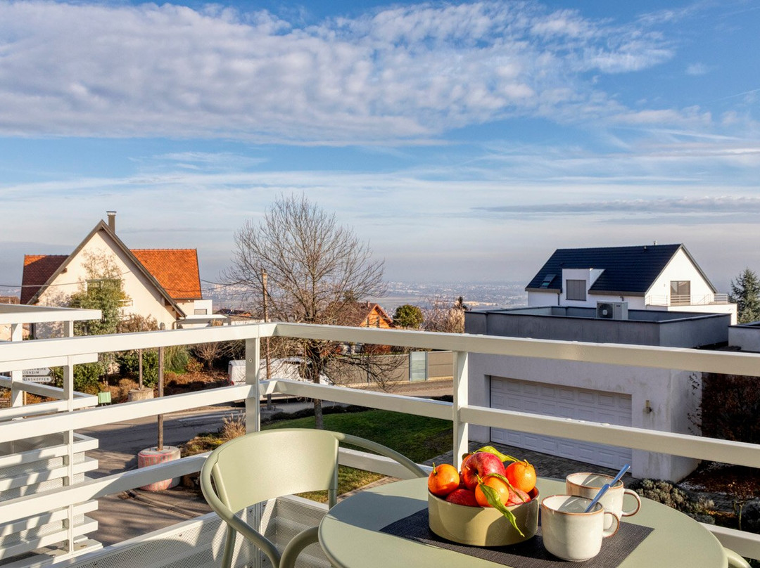 Les Appartements Husseren Collections (Appart'hôtel)