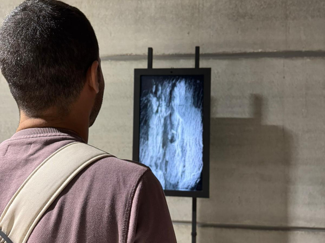 New Art Foundation-雷乌斯必去景点