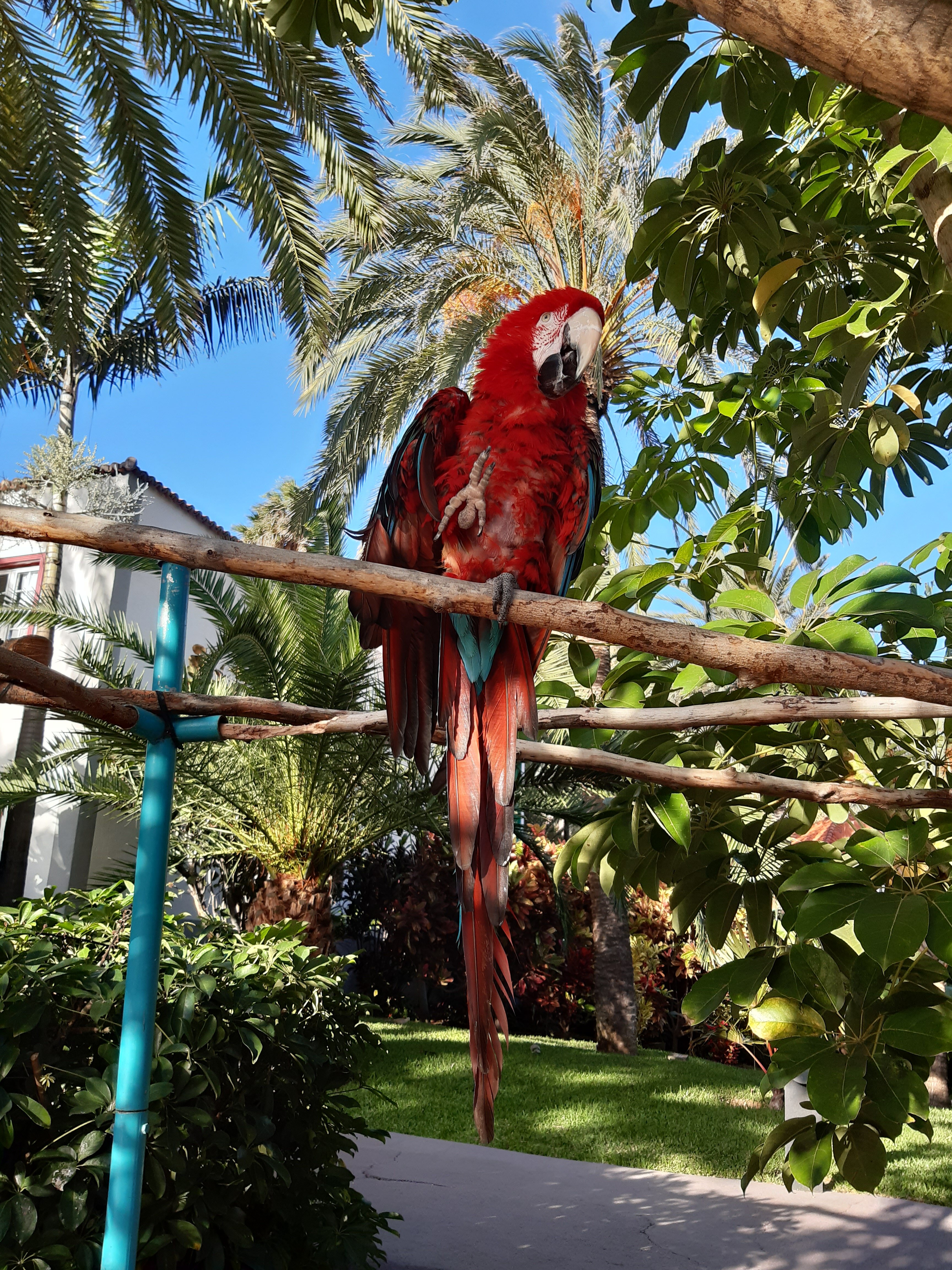 圣豪尔赫庄园酒店-泳池