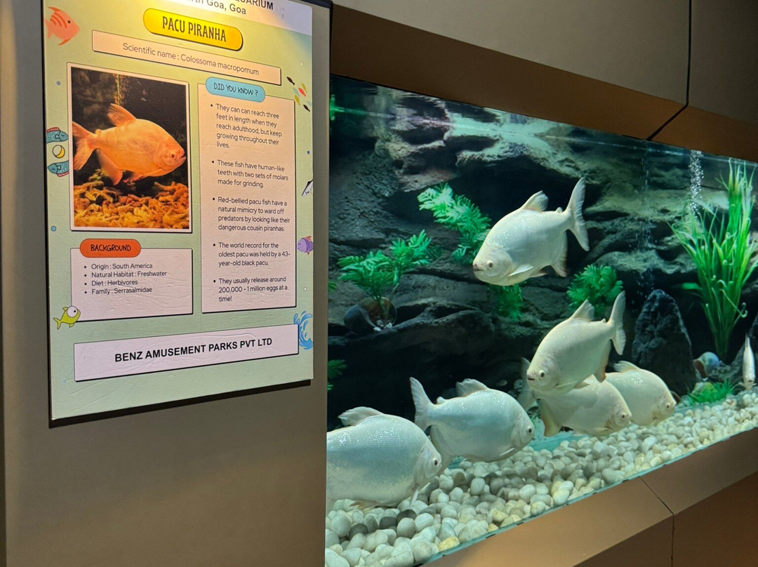 Benz Celebrity Wax Museum-加兰古特必去景点