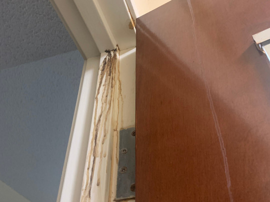 Quality Inn Huntersville Near Lake Norman主图