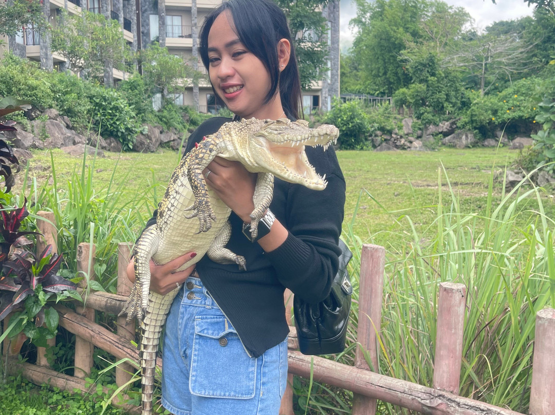 Baobab Safari Resort主图