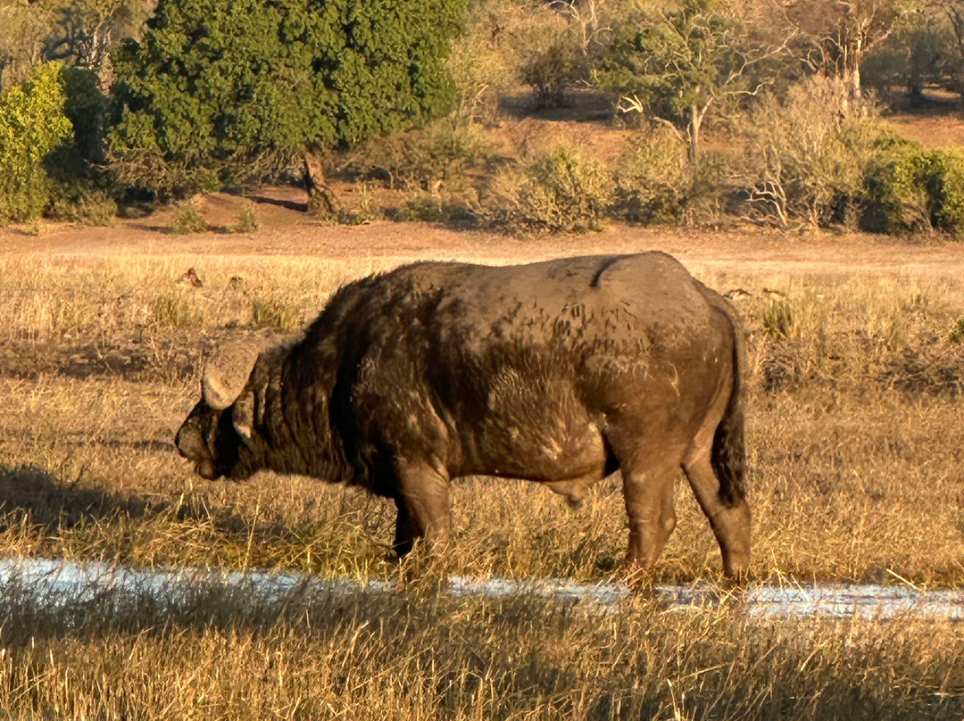Dusty Foot Tours Namibia-温德和克必去景点