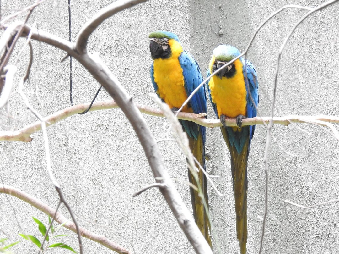 珀斯动物园-南珀斯必去景点