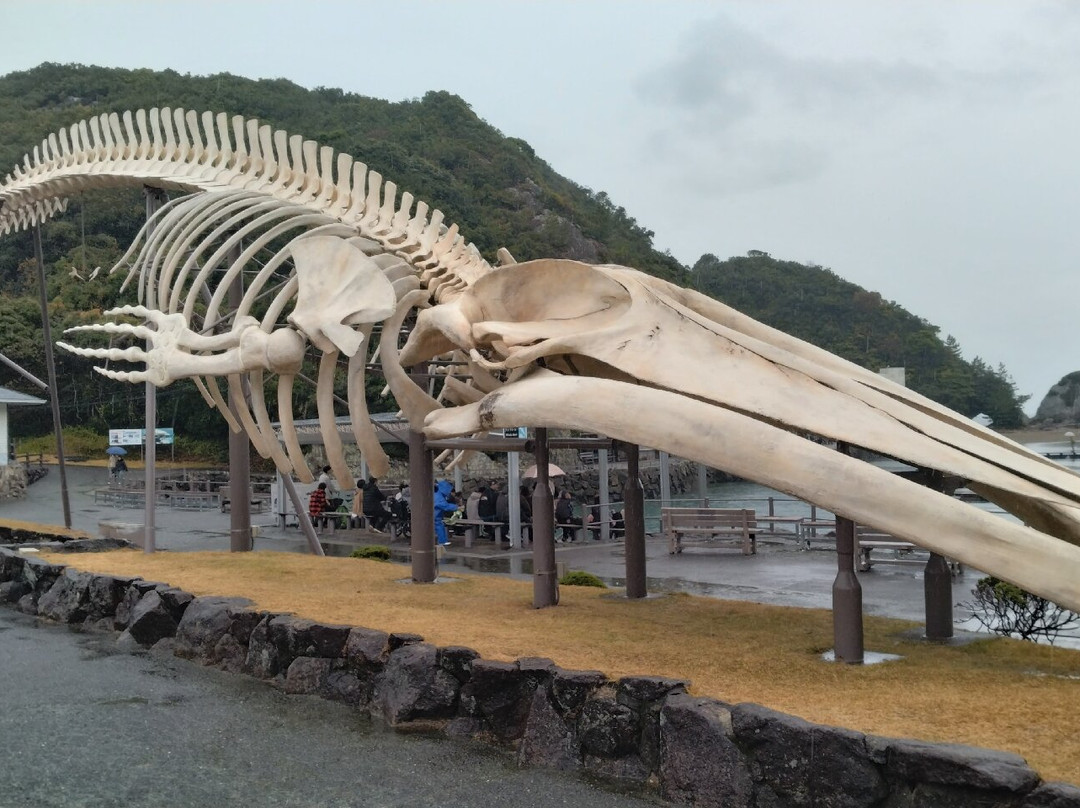 Taiji Whale Museum-太地町必去景点