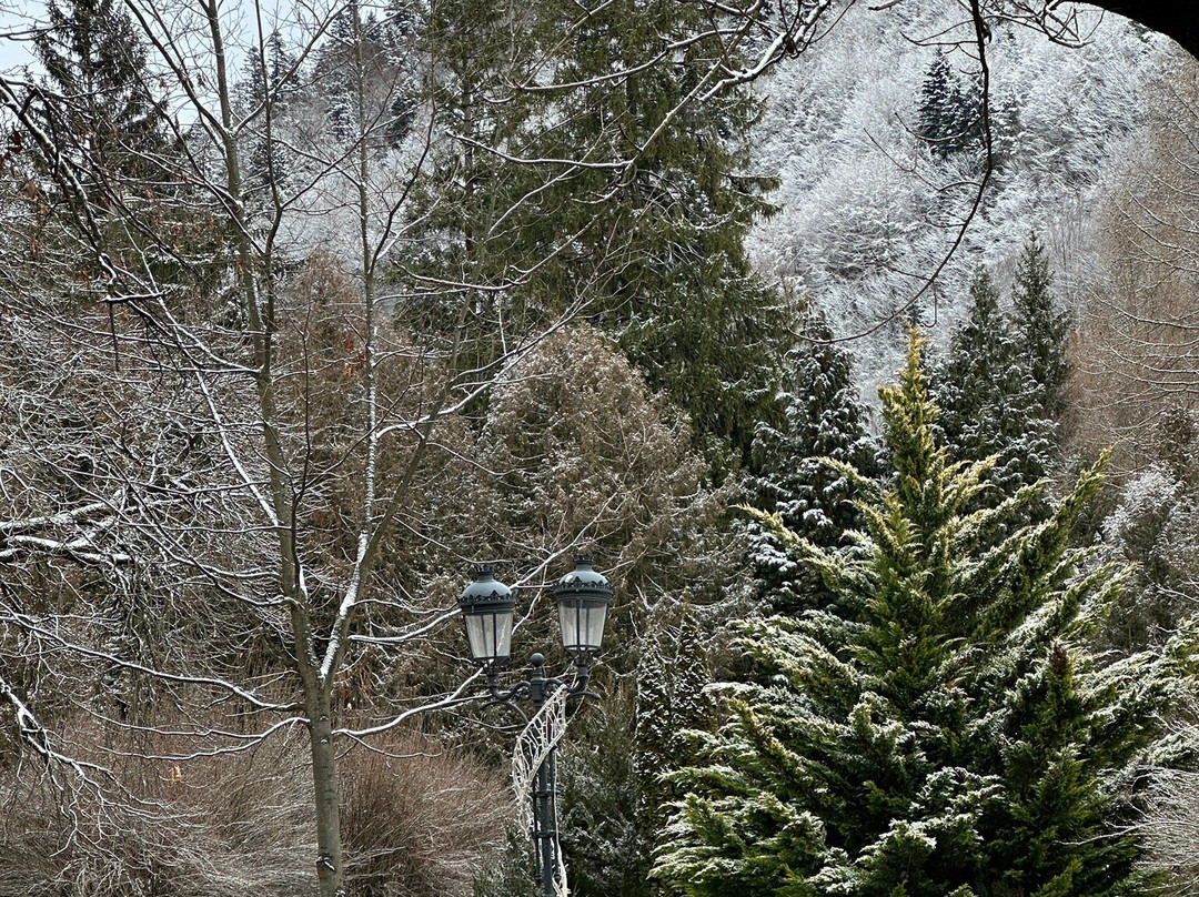 Centru Sinaia-锡纳亚必去景点