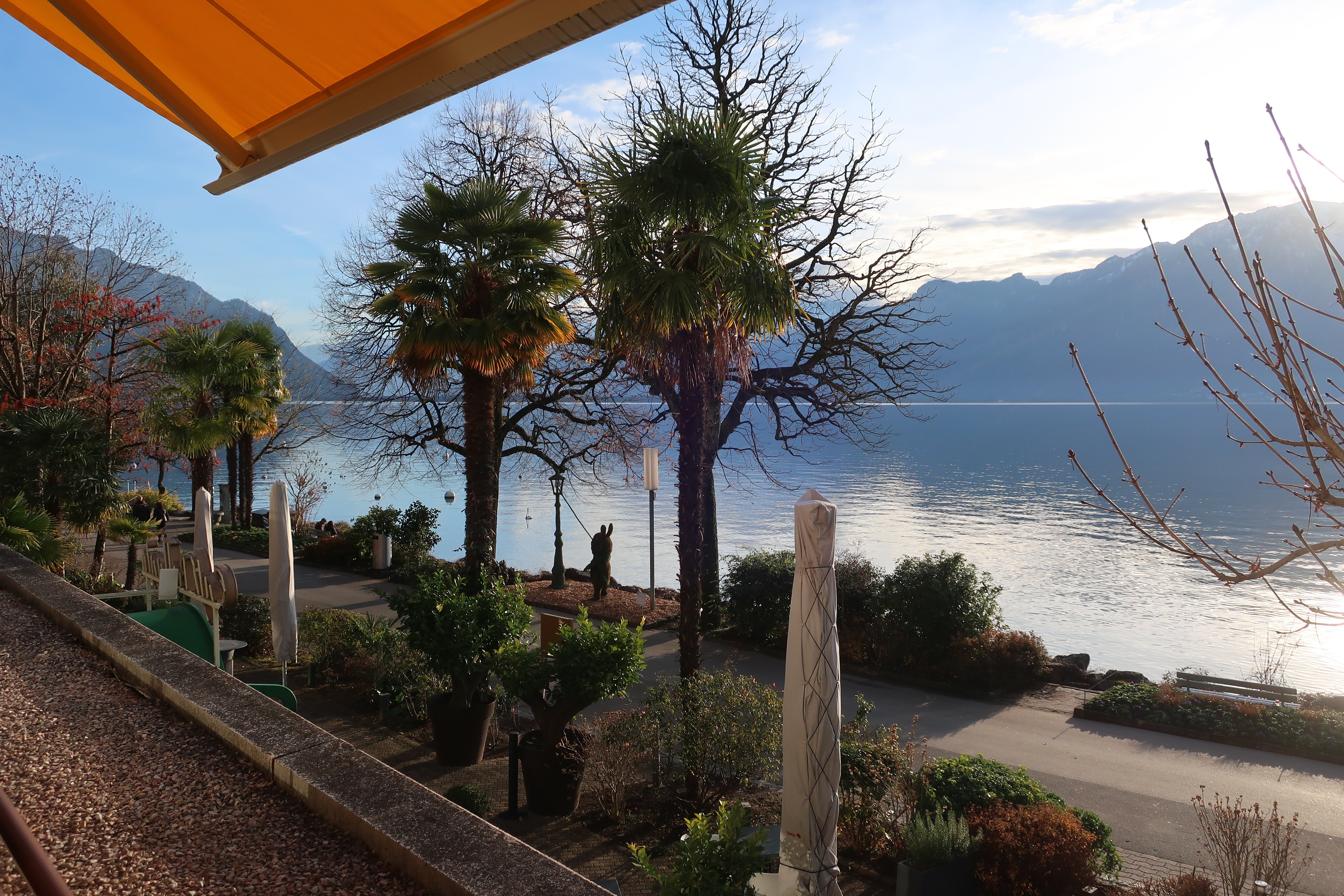 Royal Plaza Montreux-酒店景观