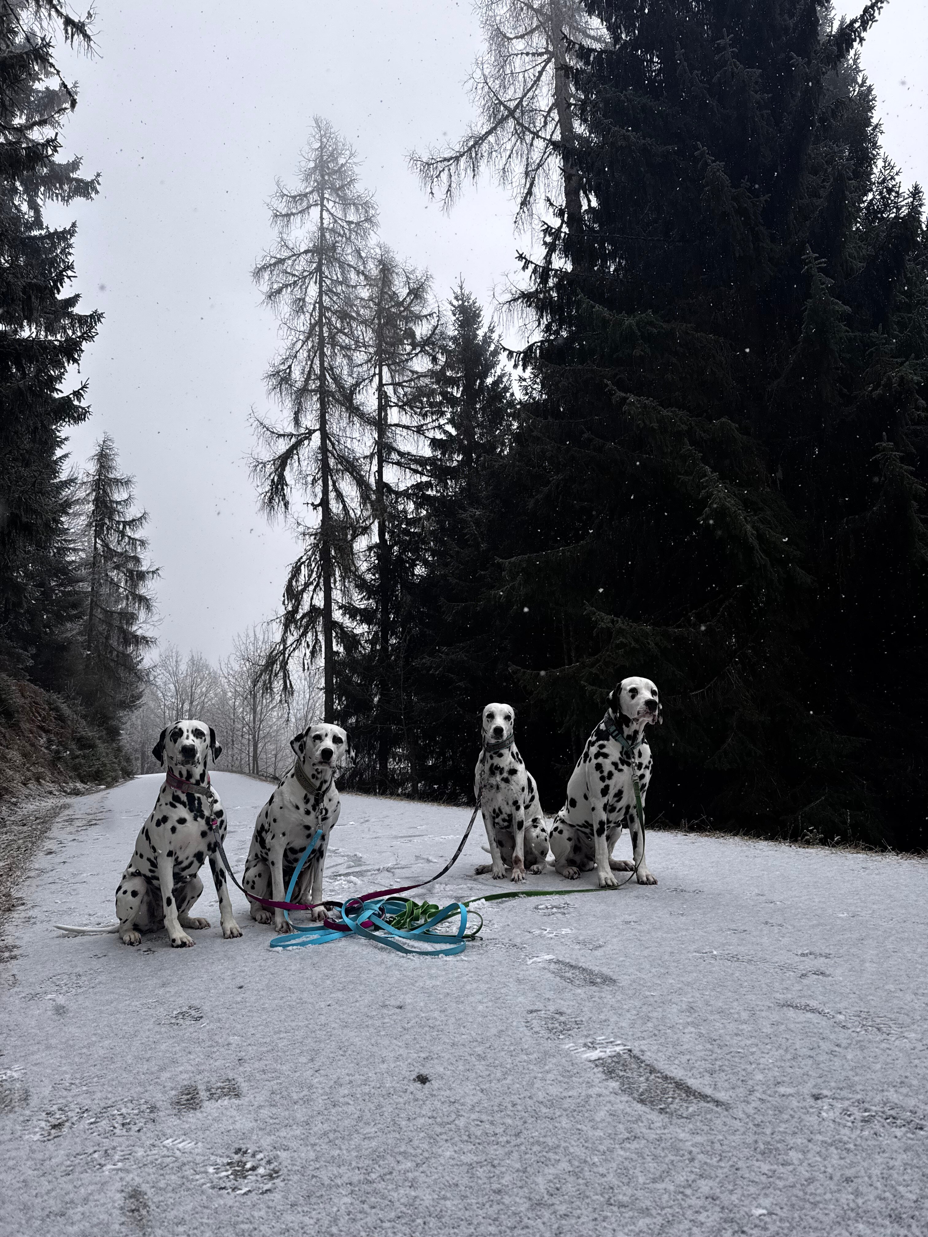 Bergheimat Hotel-官方