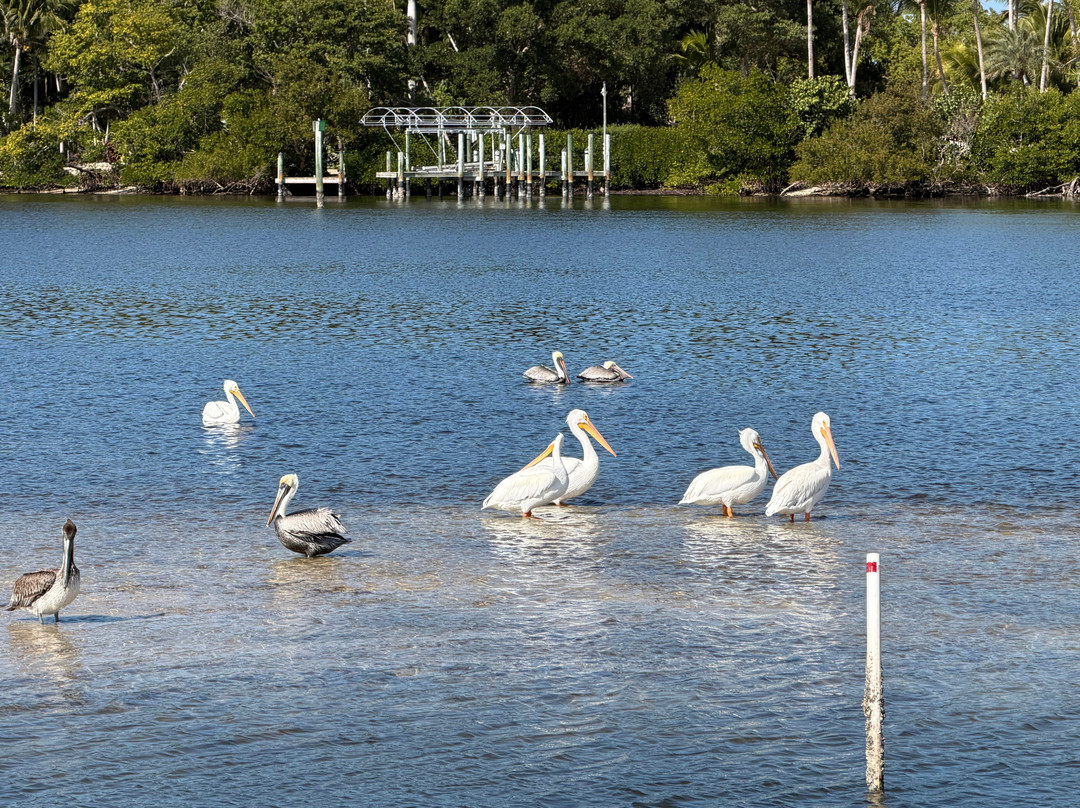 Monroe Canal Marina-Saint James City必去景点