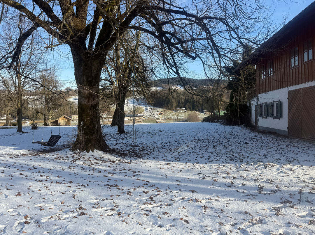 Ederbauer am Irrsee主图